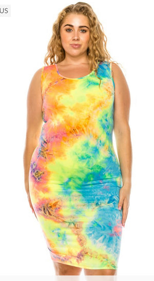 Splash Tank Dress (2X)